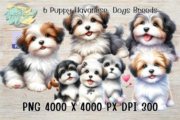 6 Puppy Havanese Dogs Breeds Watercolor