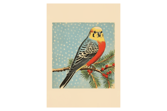 Budgie Christmas Card: A Review for Illustrations Sellers