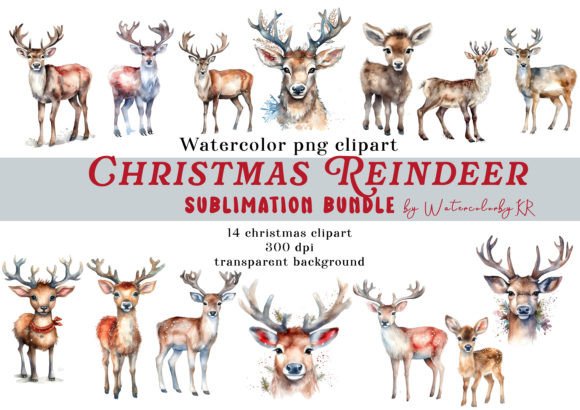 Watercolor Christmas Reindeer Bundle for Creative Illustrations